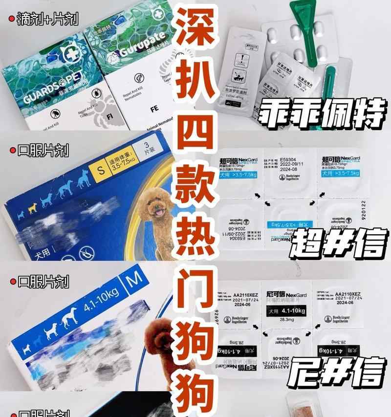 一月龄幼犬驱虫全攻略|正确方法助健康成长(图3)