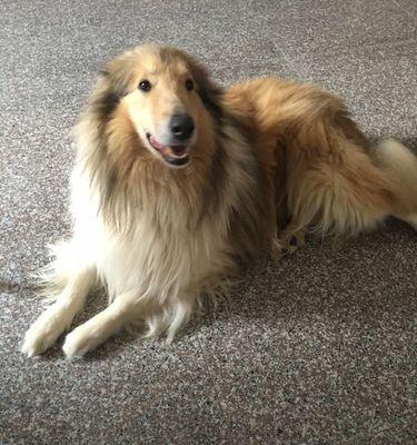 苏牧与喜乐蒂的差异（一探两位音乐家的个性与创作风格）(图2)