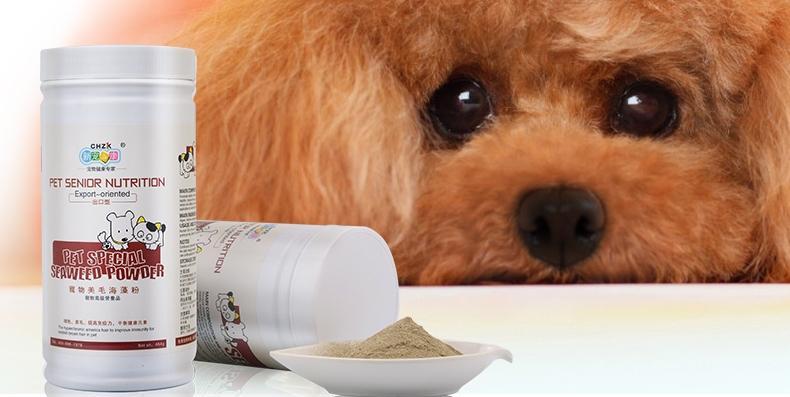 选购海澡粉，为你的爱犬带来清洁和舒适（海澡粉品牌推荐及选购要点）(图3)