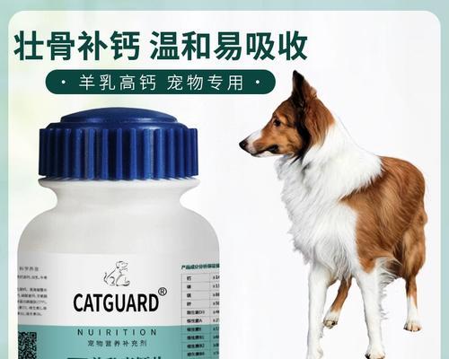 苏牧与喜乐蒂的差异（一探两位音乐家的个性与创作风格）(图3)