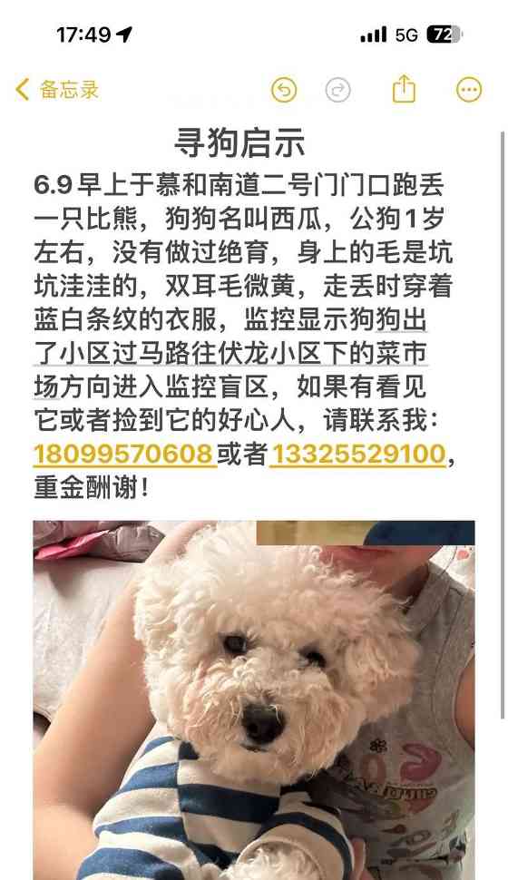 寻找一只好听的以公比熊名字（如何为你的可爱宠物选择一个独特的名字）(图3)