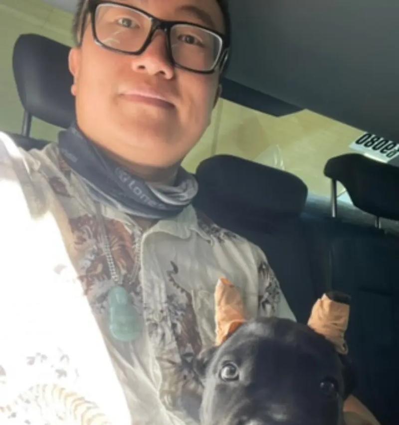 以养卡斯罗还可以养什么犬？（探索适合与卡斯罗相处的其他犬种）(图2)