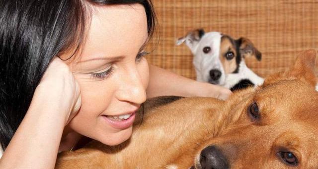 为什么有些狗只生男宝宝?遗传与环境影响探索(图3) 为什么有些狗只生男宝宝?遗传与环境影响探索(图3)