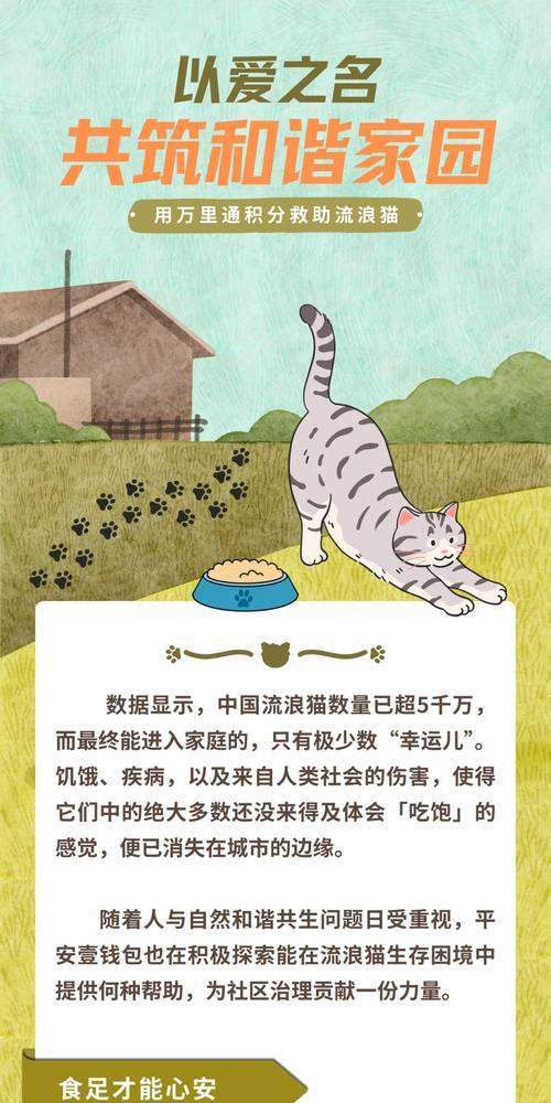 猫咪科学喂养指南：合理安排饮食确保健康(图1)