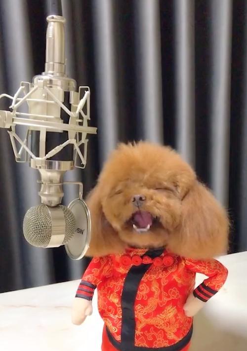 泰迪式设计风格与生活方式，温暖舒适的完美表达(图1)