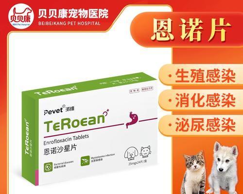 狗狗子宫蓄脓的治疗方法（以何种药物为主治疗狗狗子宫蓄脓？） - 悠悠酷狗网