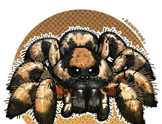 狼蛛宠物的饮食需求（了解狼蛛食物选择与喂养方法，打造健康宠物生活）(图2)