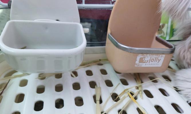 选择合适的食盆,让兔子健康成长(兔子食盆选购指南及使用建议)(图3) 选择合适的食盆,让兔子健康成长(兔子食盆选购指南及使用建议)(图3)