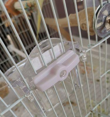 选择合适的食盆，让兔子健康成长（兔子食盆选购指南及使用建议） - 悠悠酷狗网