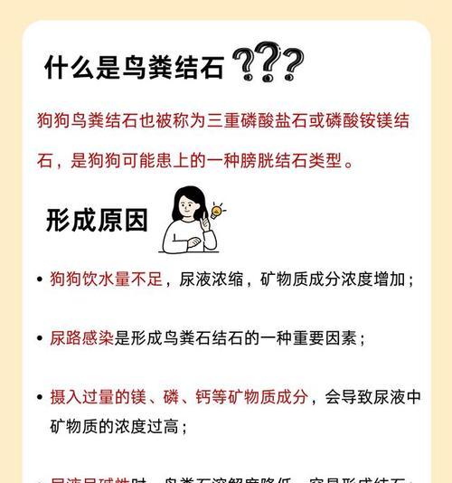 狗狗饮食防止结石的重要性（如何正确选择饮食以预防狗狗结石问题） - 悠悠酷狗网