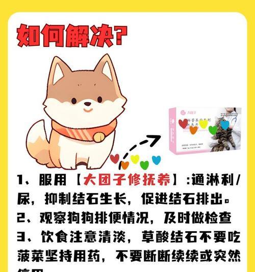 狗狗饮食防止结石的重要性(如何正确选择饮食以预防狗狗结石问题)(图2) 狗狗饮食防止结石的重要性(如何正确选择饮食以预防狗狗结石问题)(图2)