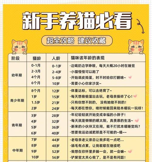 幼猫断奶的时间和注意事项(幼猫断奶的合适时机与正确方法)(图3) 幼猫断奶的时间和注意事项(幼猫断奶的合适时机与正确方法)(图3)