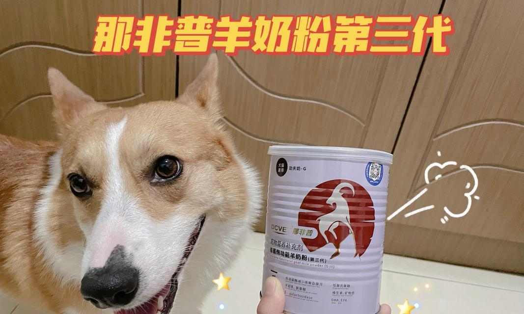 狗狗拉肚子治愈后的饮食恢复计划（为你的宠物提供适当的食物，促进健康恢复） - 悠悠酷狗网