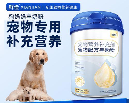 增加泰迪狗奶水的最佳食物选择与营养建议(图3)