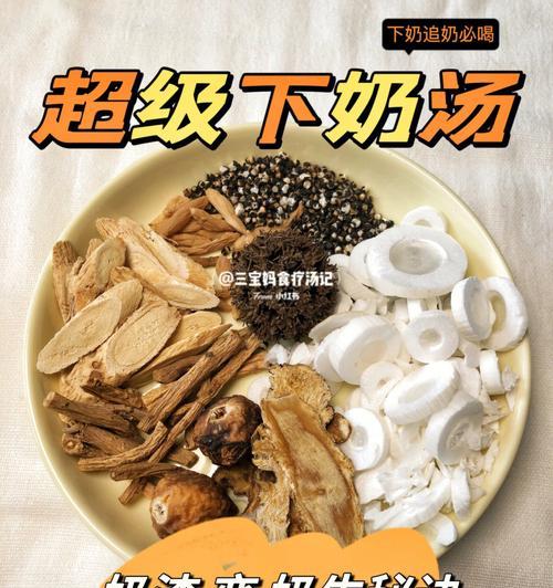 增加泰迪狗奶水的最佳食物选择与营养建议(图1)