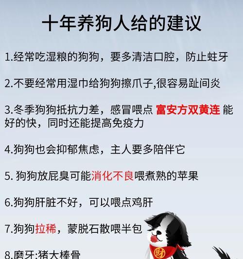 狗狗流鼻涕咳嗽，如何选择合适的药物治疗？（了解常见的狗狗感冒症状，及时采取有效治疗措施）(图2)