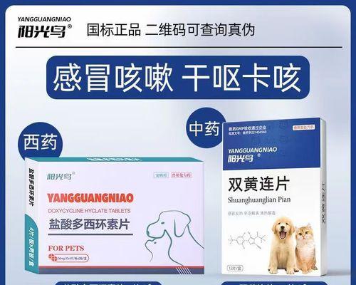 狗狗流鼻涕咳嗽，如何选择合适的药物治疗？（了解常见的狗狗感冒症状，及时采取有效治疗措施）(图3)