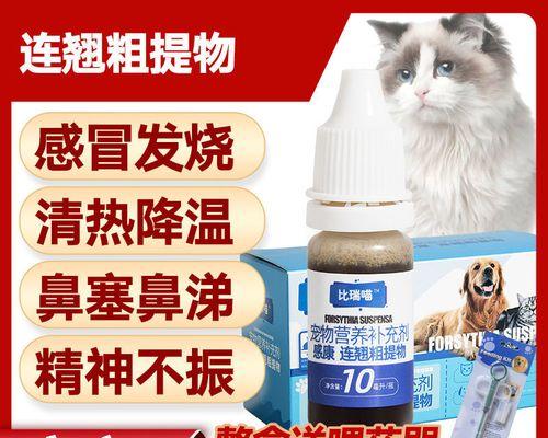 狗狗流鼻涕咳嗽，如何选择合适的药物治疗？（了解常见的狗狗感冒症状，及时采取有效治 - 悠悠酷狗网