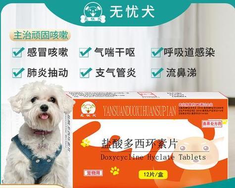 狗狗吐了？这些药能治！（解决狗狗呕吐问题的药物及注意事项）(图3)