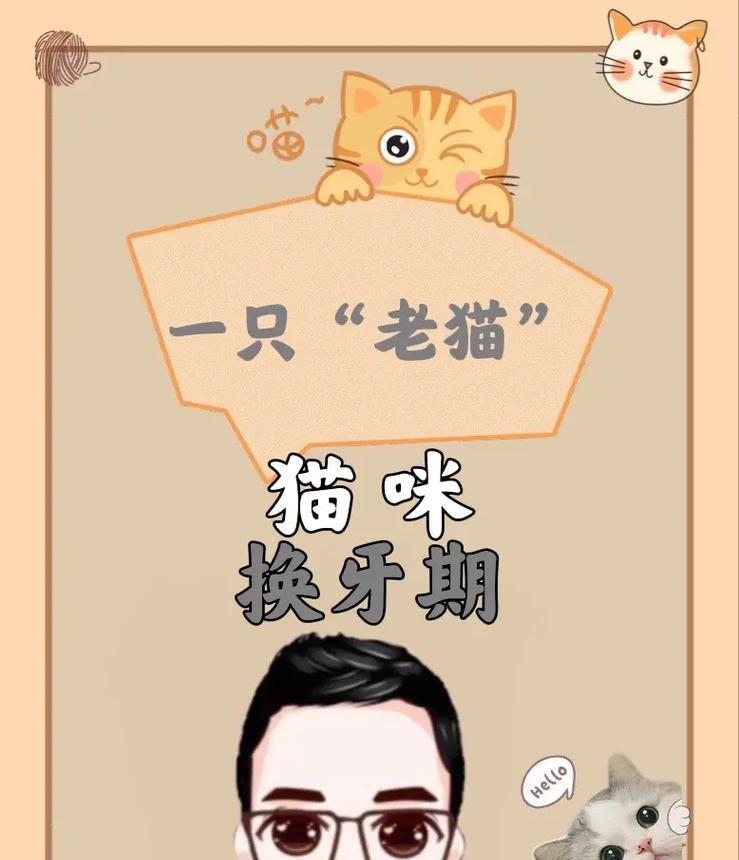 法斗换牙期护理指南:健康成长的关键步骤(图3) 法斗换牙期护理指南:健康成长的关键步骤(图3)