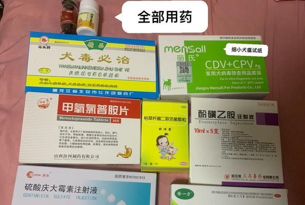宠物细小病毒防治指南：药物选择与正确用法(图3)