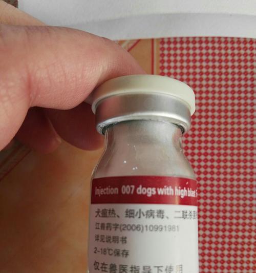 宠物细小病毒防治指南：药物选择与正确用法(图2)