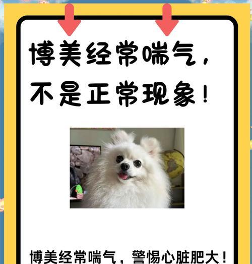 狗狗为什么会伸舌头喘气？（探究狗狗喘气的原因及其重要性）(图1)