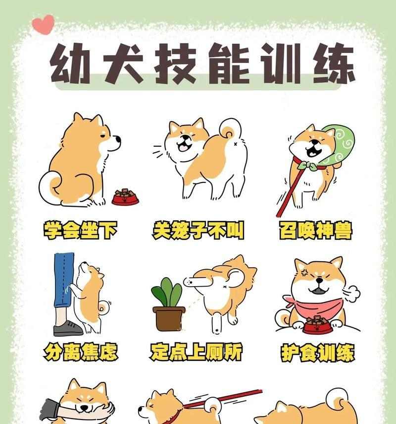 小狗训练最佳时机与实用方法，培养乖巧宠物指南(图2)