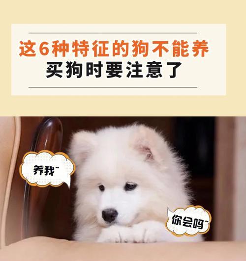 养护新宠狗的全方位指南,确保健康快乐成长(图3) 养护新宠狗的全方位指南,确保健康快乐成长(图3)