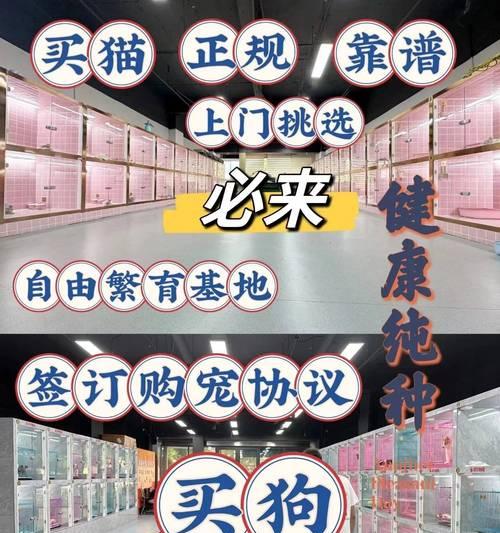 养护新宠狗的全方位指南,确保健康快乐成长(图2) 养护新宠狗的全方位指南,确保健康快乐成长(图2)