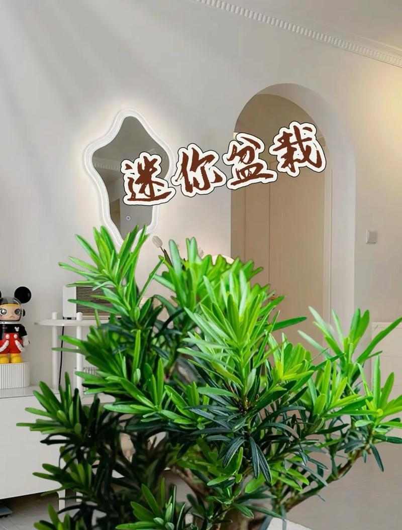 养罗汉鱼的最佳伙伴选择与养护技巧指南(图2) 养罗汉鱼的最佳伙伴选择与养护技巧指南(图2)