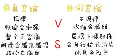 泰迪狗宫缩详解：症状原因与有效治疗指南(图3)