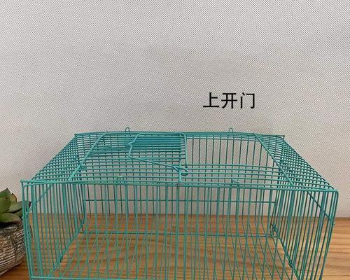 如何为仓鼠选择合适的笼子打造宠物的温馨空间(图3)