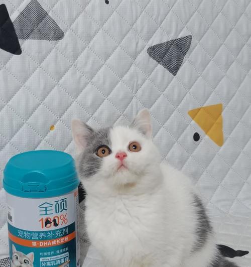 小奶猫怎么喂养才健康?(选择合适的奶粉是关键!)(图3) 小奶猫怎么喂养才健康?(选择合适的奶粉是关键!)(图3)