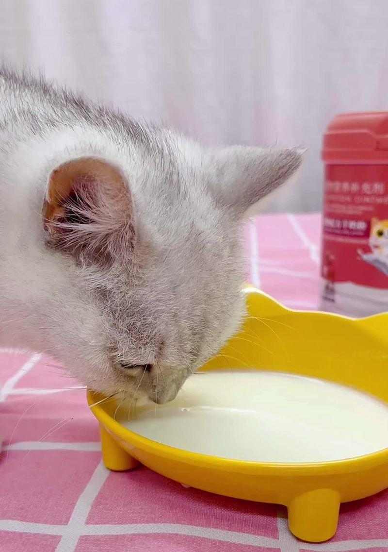 小奶猫怎么喂养才健康？（选择合适的奶粉是关键！） - 悠悠酷狗网