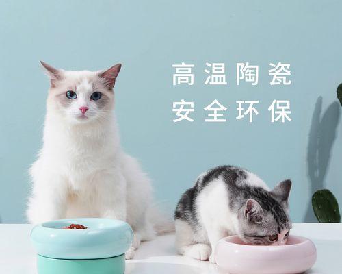 猫咪贪吃引发的疾病及预防措施(图1) 猫咪贪吃引发的疾病及预防措施(图1)