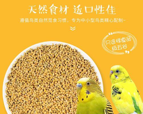 以刚出生的虎皮鹦鹉吃什么（宝宝虎皮鹦鹉食谱大揭秘） - 悠悠酷狗网