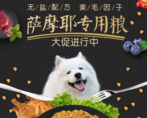 狗狗如何防止长白毛？（营养均衡饮食是关键！）(图1)