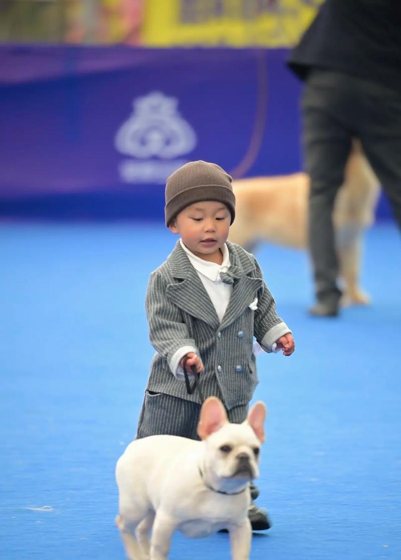 以法斗的发育过程及其关键阶段(探索以法斗成长中的重要时刻)(图1) 以法斗的发育过程及其关键阶段(探索以法斗成长中的重要时刻)(图1)