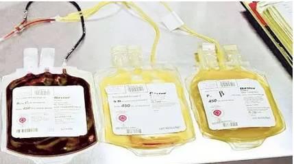 犬血浆的作用及其（探索犬血浆在医学领域的重要性与应用）(图2)