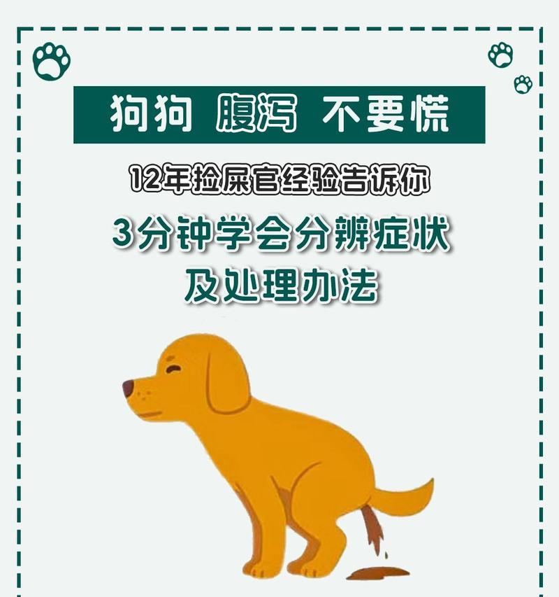 养金毛犬需注意的要点（如何正确照顾你的金毛宝贝）(图1)