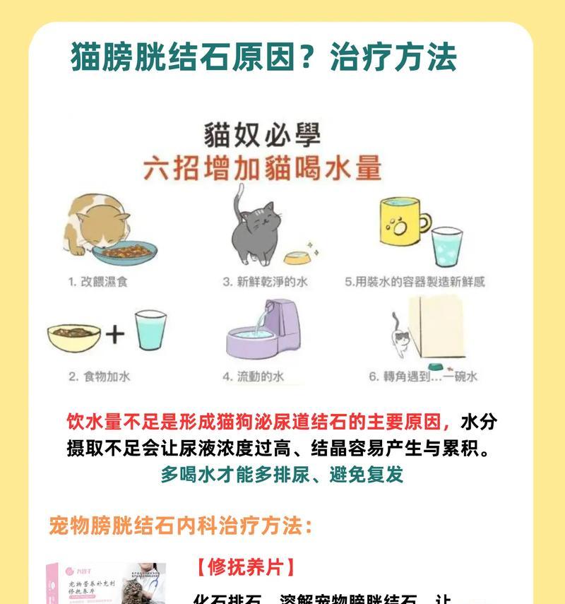 猫为什么突然尿在床上？（探究猫突然改变尿尿习惯的原因和解决办法） - 悠悠酷狗网