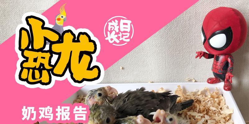 狗崽奶粉（为您揭秘狗崽奶粉的正确喂养时间和用量） - 悠悠酷狗网