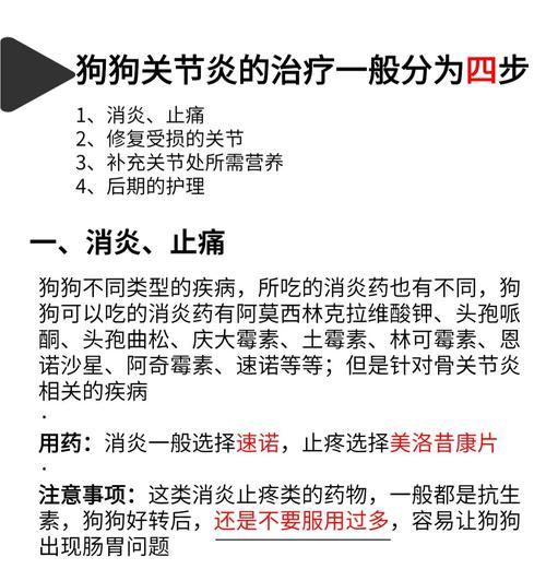 狗狗肚子响怎么办?(了解原因,合理用药解决问题)(图2) 狗狗肚子响怎么办?(了解原因,合理用药解决问题)(图2)