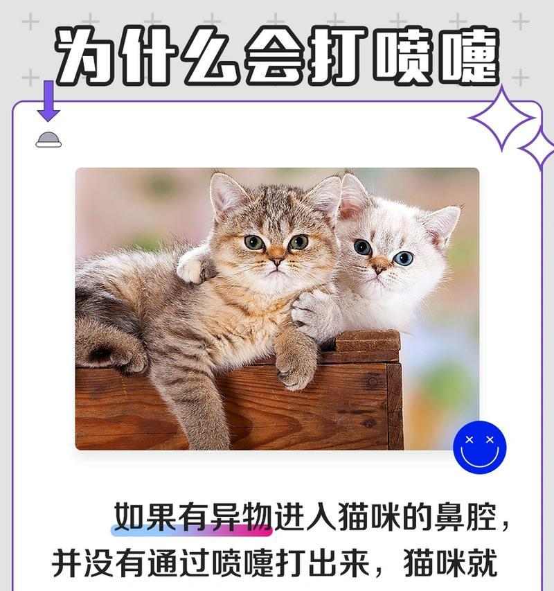 猫为什么会头痒？（探究猫咪头痒的原因及解决方法）(图3)