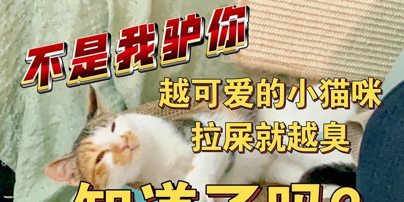 解析每天拉屎臭的原因（为什么我们的排泄物具有强烈的恶臭？）(图3)