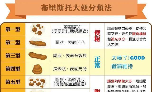 解析每天拉屎臭的原因（为什么我们的排泄物具有强烈的恶臭？） - 悠悠酷狗网