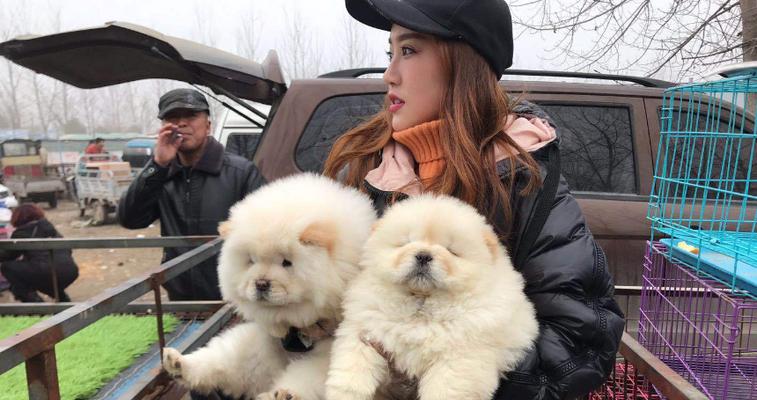 女人为什么愿意当母狗?(探究女性对母性的追求和满足)(图2) 女人为什么愿意当母狗?(探究女性对母性的追求和满足)(图2)