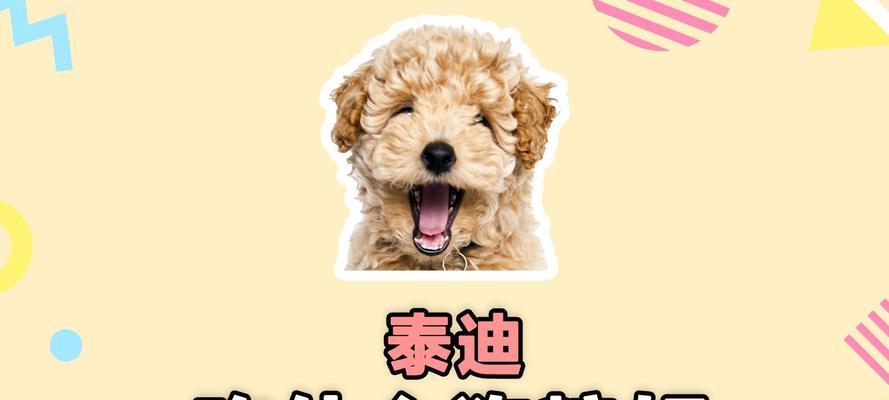 泰迪犬的保健品选择指南(了解泰迪犬的营养需求,选择适合的保健品)(图3) 泰迪犬的保健品选择指南(了解泰迪犬的营养需求,选择适合的保健品)(图3)