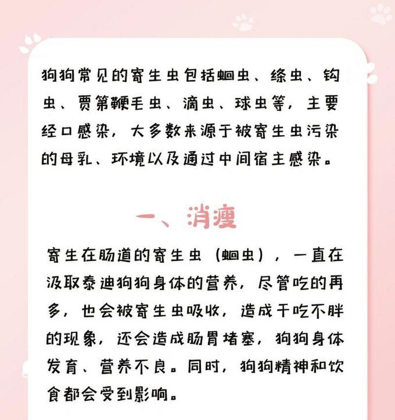 小泰迪肚子里竟然有虫子？为什么会这样？（揭秘小泰迪肚子里虫子滋生的原因及防治方法）(图3)